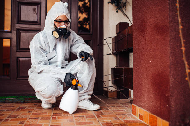 Reliable Cockroach Control contractor in Linganore, MD by Nex Pest Control